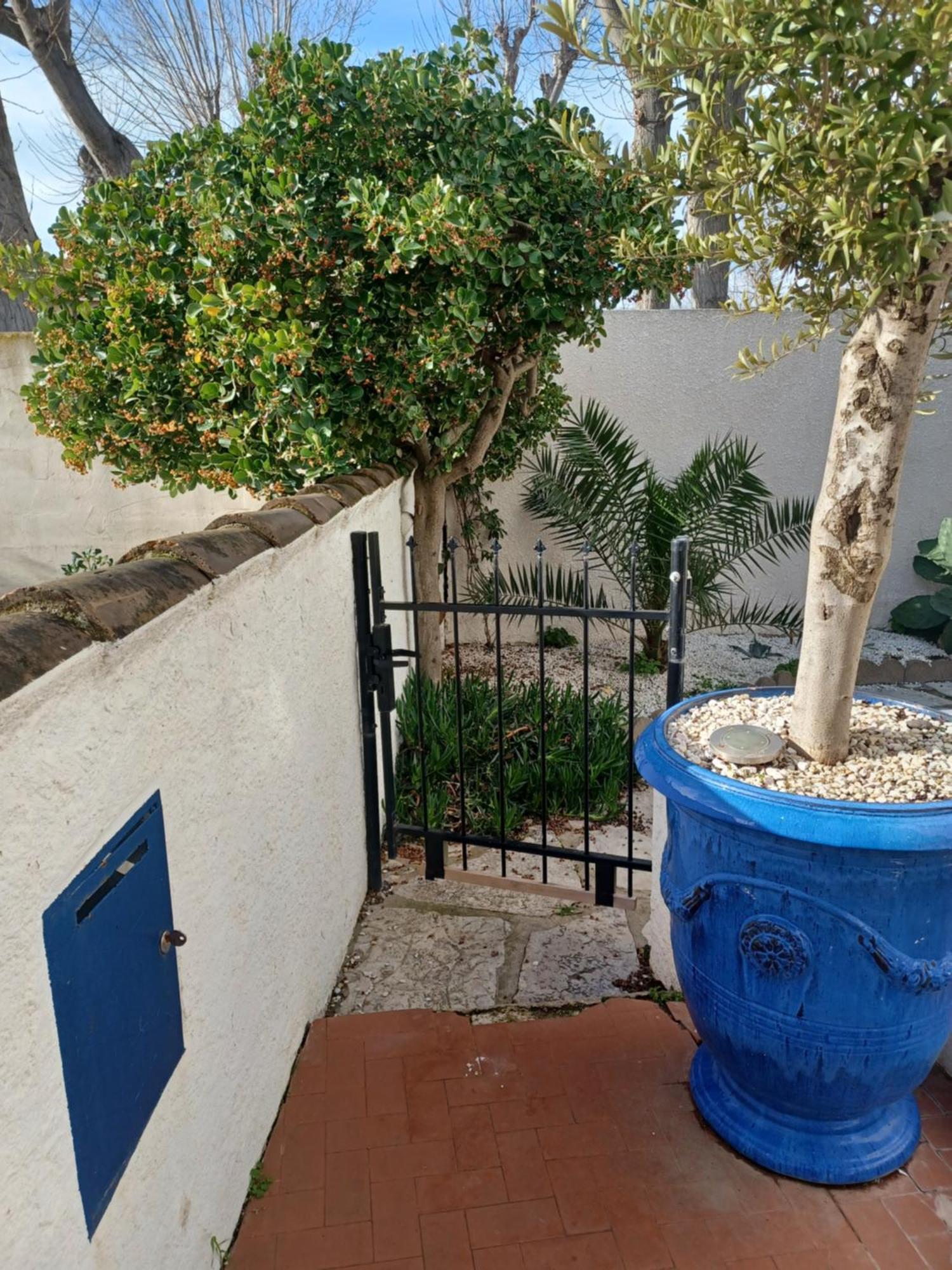 Appartement Avec Jardin Et Spa Valras-Plage Eksteriør billede