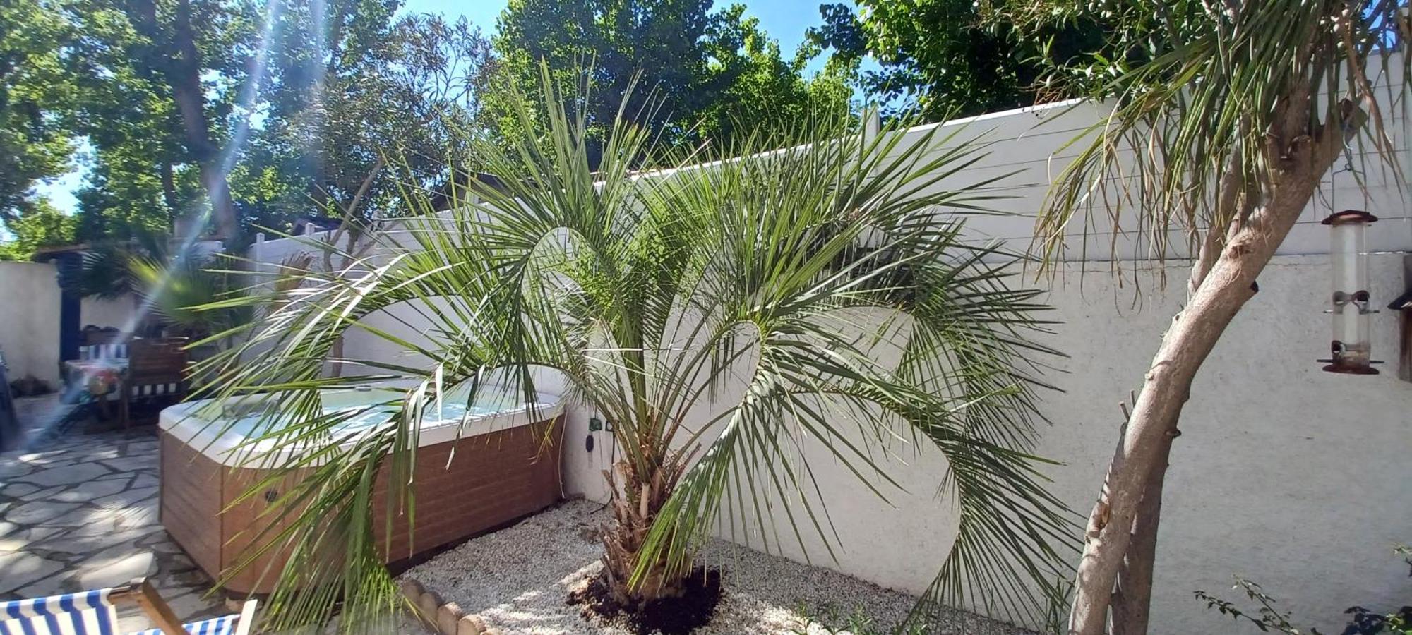 Appartement Avec Jardin Et Spa Valras-Plage Eksteriør billede